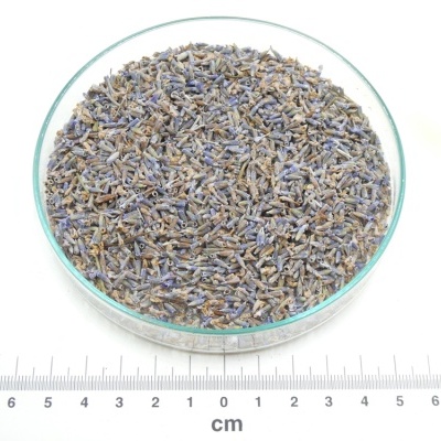 Lavanda bio*