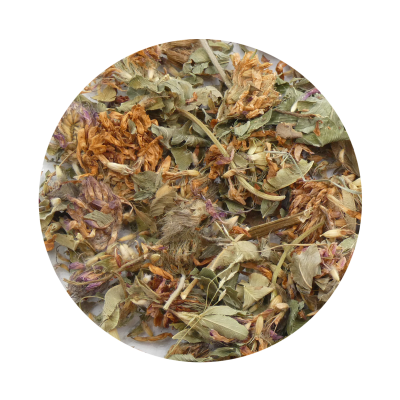 TREVO VERMELHO - flor BIO