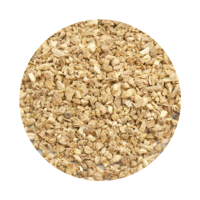 GENGIBRE raiz cortada BIO