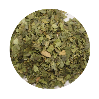 BOLDO-DO-CHILE  folha partida BIO