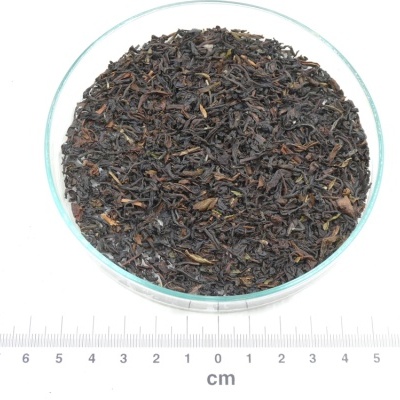 Chá-Preto Darjeeling bio*