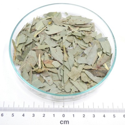 Eucalipto Cortada bio*