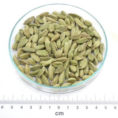 Cardamomo bio*