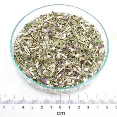 Equinácea-Púrpurea bio*