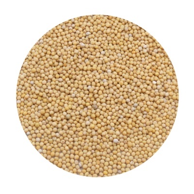 MOSTARDA BRANCA grão BIO