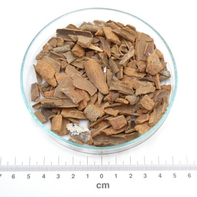 Canela da Indonésia bio*