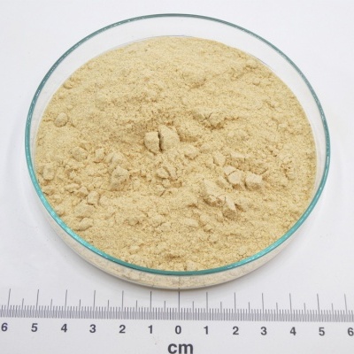 Mostarda Branca Pó bio*