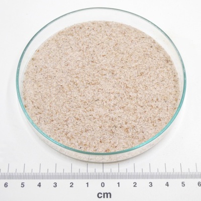 Psyllium bio*