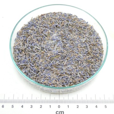 Prato de vidro com flores secas de lavanda e régua em centímetros