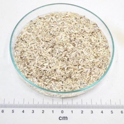 Ginseng Siberiano bio*