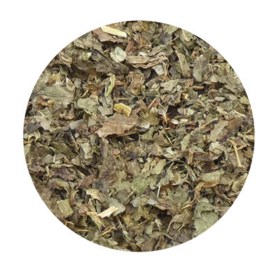 CARDO-MARIANO planta cortada BIO