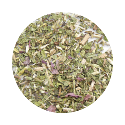 EQUINÁCEA-PÚRPUREA - planta cortada BIO