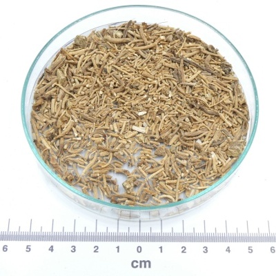 Valeriana bio*