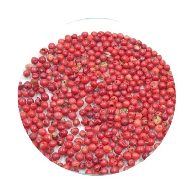 Aroeira-Vermelha bio*