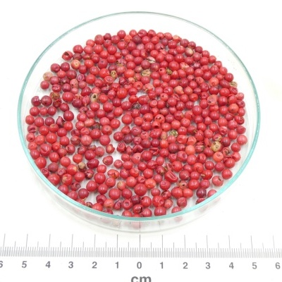 Aroeira-Vermelha bio*