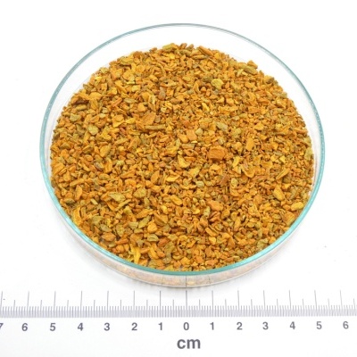 Curcuma Raiz bio*