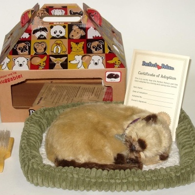 Gato siamês Perfect Petzzz