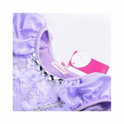 Disfarce de A Princesa Sofia