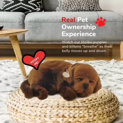 Labrador Chocolate Perfect Petzzz