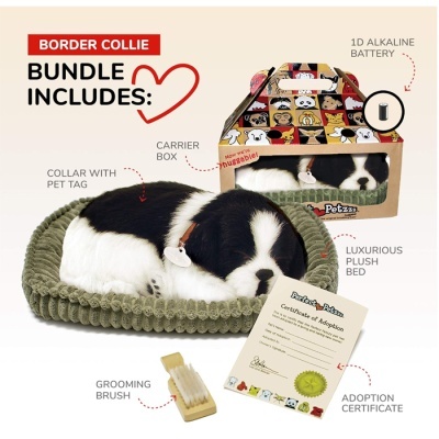 Border Colie Perfect Petzzz