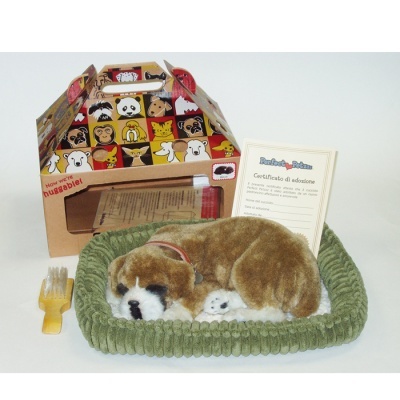 Boxer Perfect Petzzz