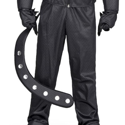 Fato Cat Noir infantil