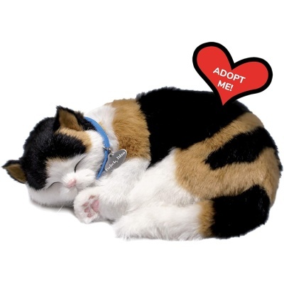 Gato Calico Perfect Petzzz