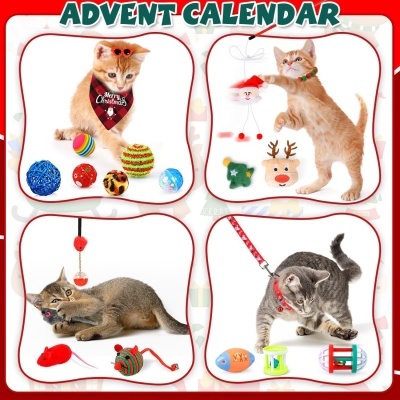 Calendário de advento para gatos