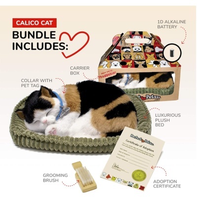 Gato Calico Perfect Petzzz