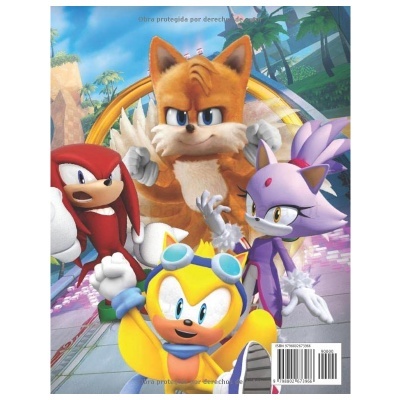 Livro de pintar Sonic 2