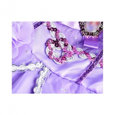 Disfarce de A Princesa Sofia