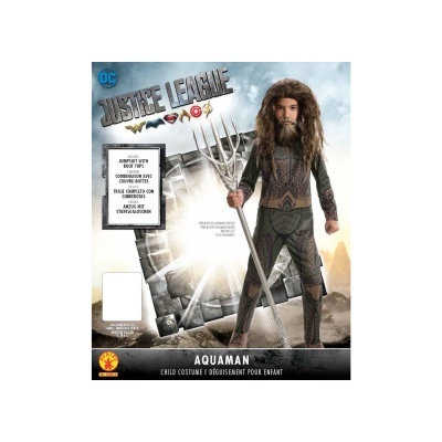 Fato DC Comics de Aquaman para crianças