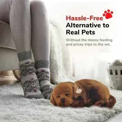 Labrador Chocolate Perfect Petzzz