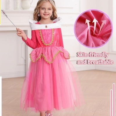 Fato Princesa Aurora com acessórios