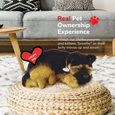 Pastor Alemão Perfect Petzzz