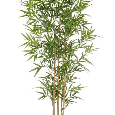 https://www.pecascomalma.pt/product/planta-bambu