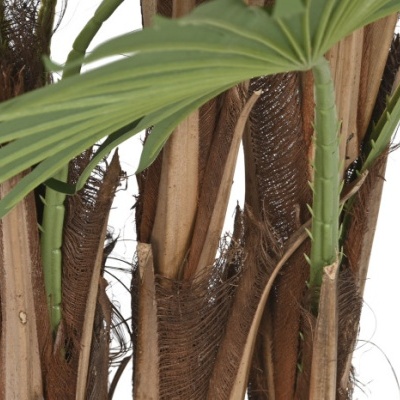 Planta Artificial PP