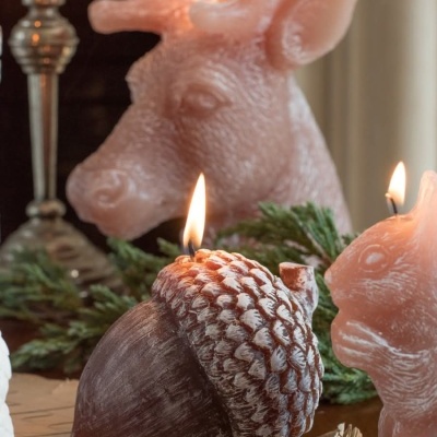 Coleção Into the Woods