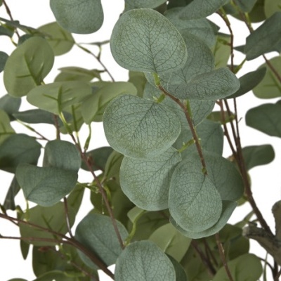https://www.pecascomalma.pt/product/planta-artificial-eucalipto-verde