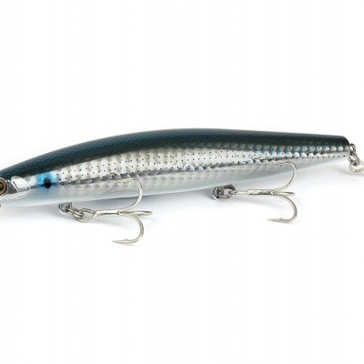 Silent Assassin 160 F