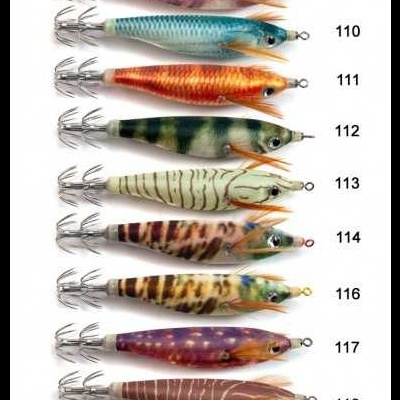 Vega toto sutte live