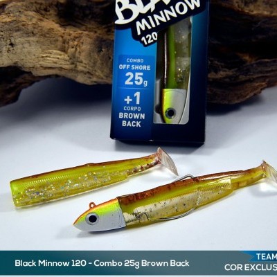 Black Minnow Combo Off Shore - 25 g.
