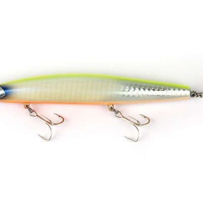 Shimano Silent Assassin 14F