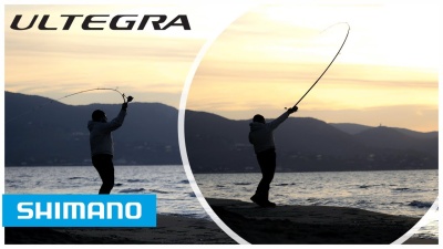 Shimano Ultegra Surf j 425 BX 4,25m hibrida