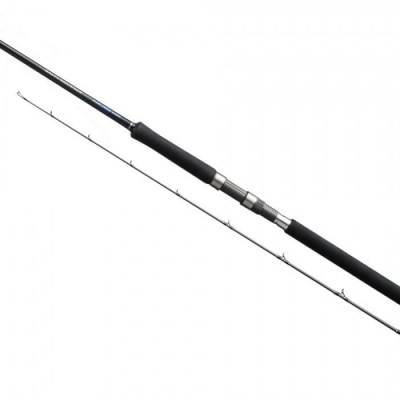 Shimano Salty Advance Shore Jigging S100H