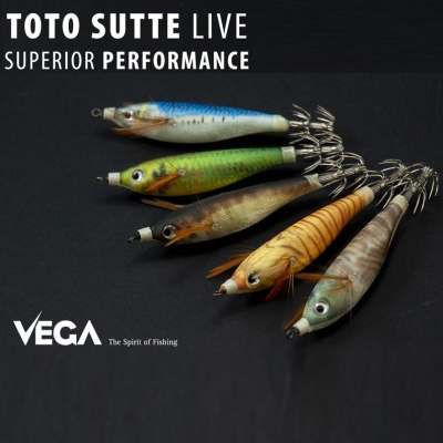 Vega toto sutte live