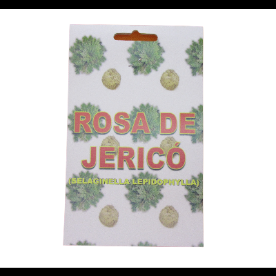 Rosa de Jericó
