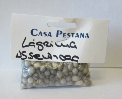 Sacos com feijões cinzentos e rótulo CASA PESTANA Lagrisma