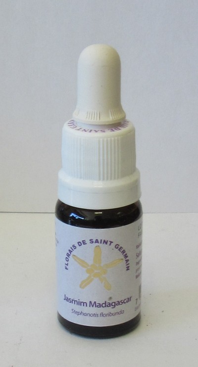 Floral Jasmim Madagascar