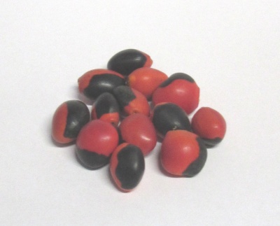 Sementes pequenas pretas e vermelhas sobre fundo branco